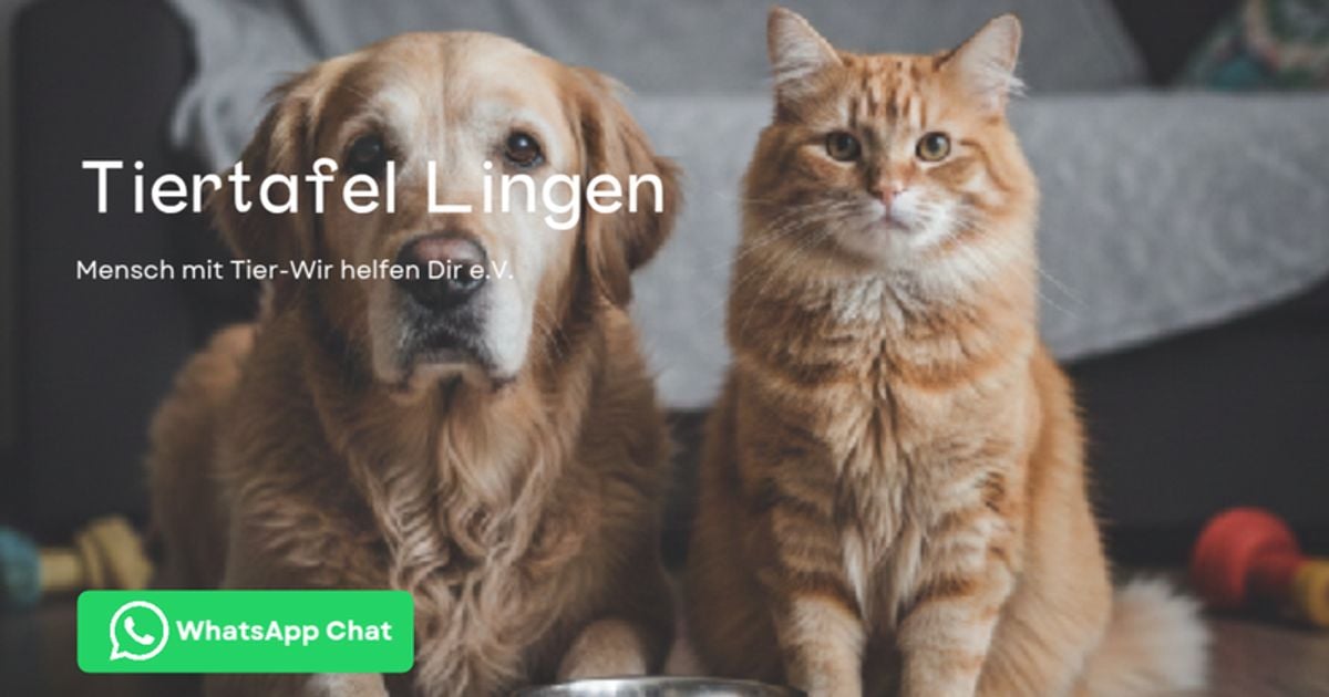 Mensch mit Tier - Wir helfen Dir e.V. logo